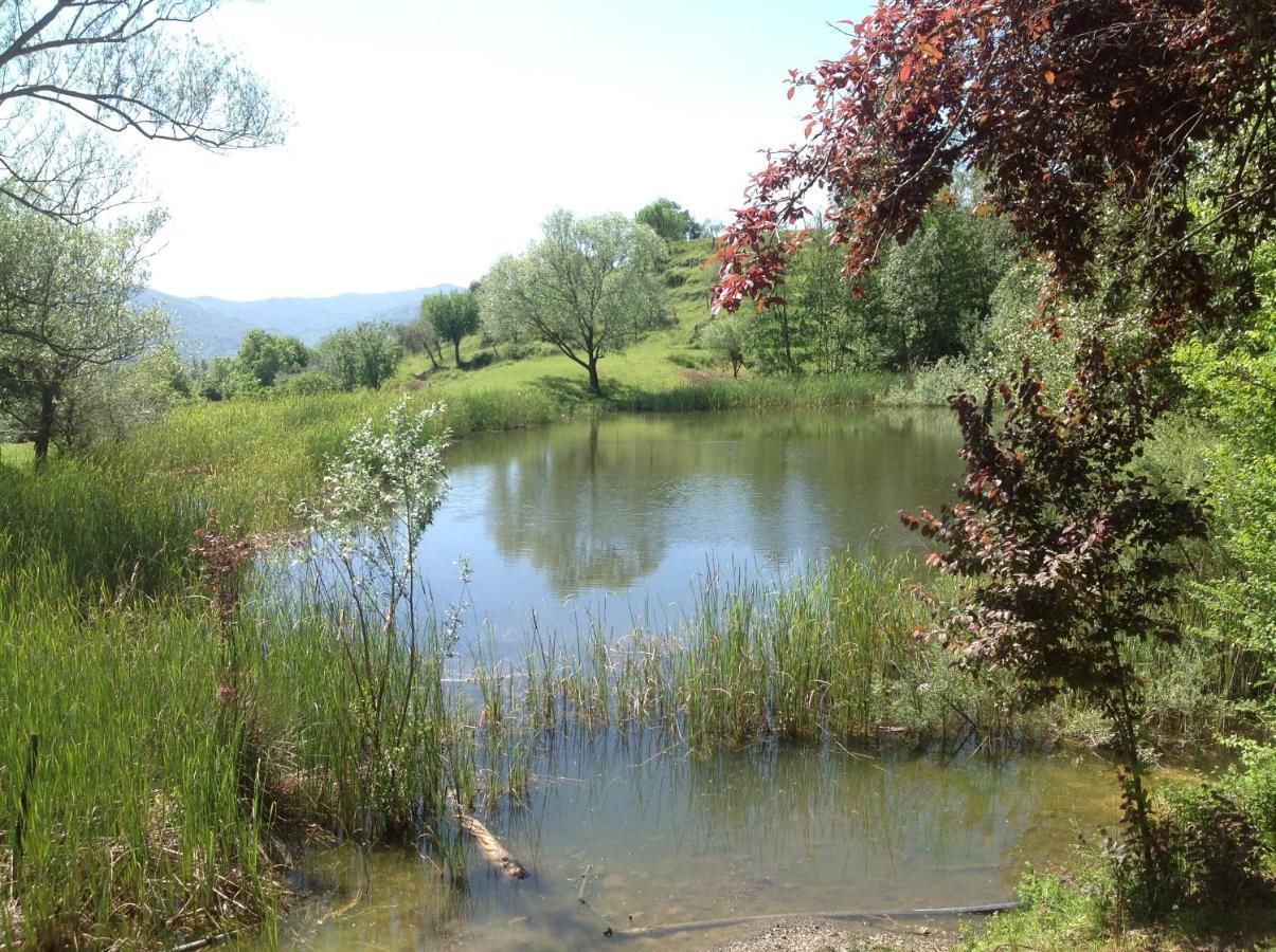 Agriturismo Il Picchio Verde Licciana Nardi Exterior foto
